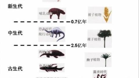 搜索 哔哩哔哩 つロ干杯 Bilibili