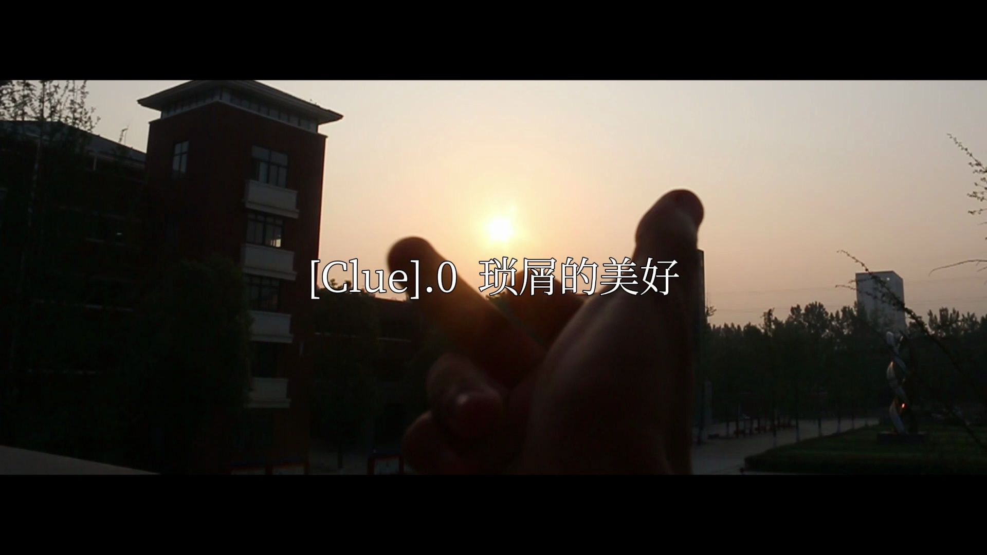 [Sense]哔哩哔哩bilibili