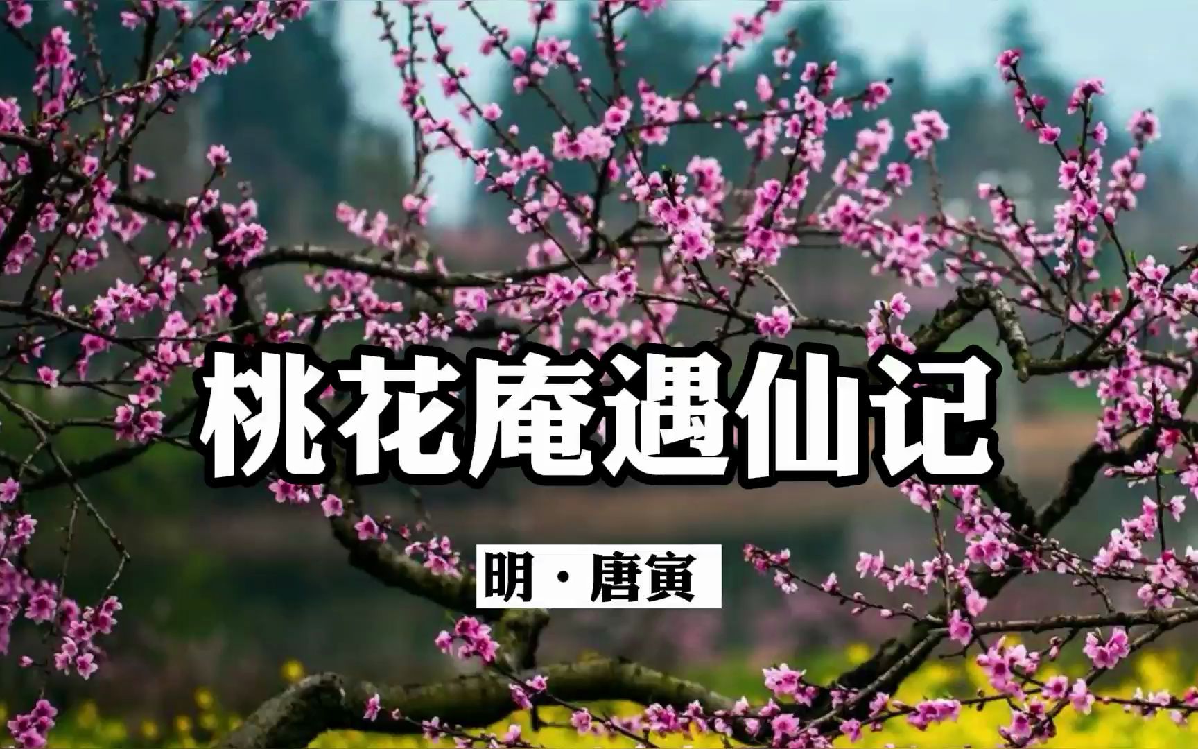 诵读经典:《桃花庵遇仙记》唐寅哔哩哔哩bilibili