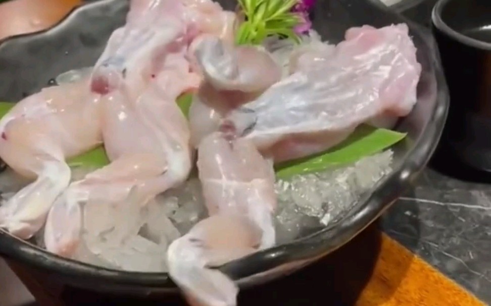 扒了皮的牛蛙还能活蹦乱跳