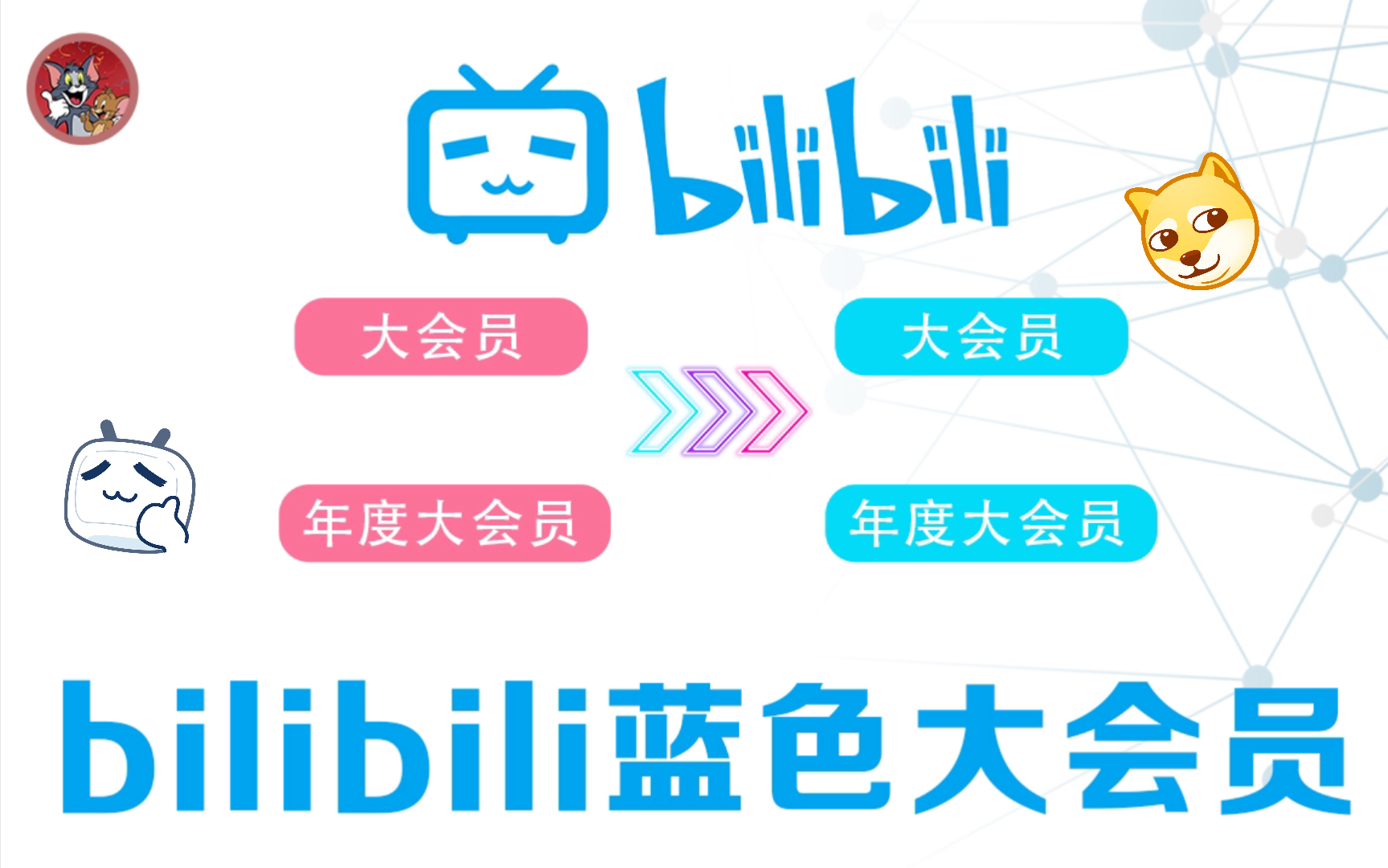 B站蓝色大会员,你值得拥有!哔哩哔哩bilibili