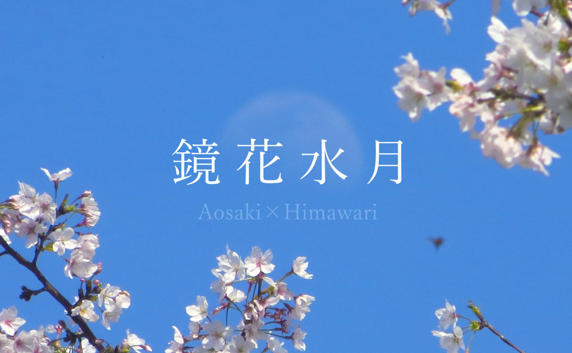 【Aosaki*Himawari】镜花水月(Lyric Video)【原创曲】哔哩哔哩bilibili