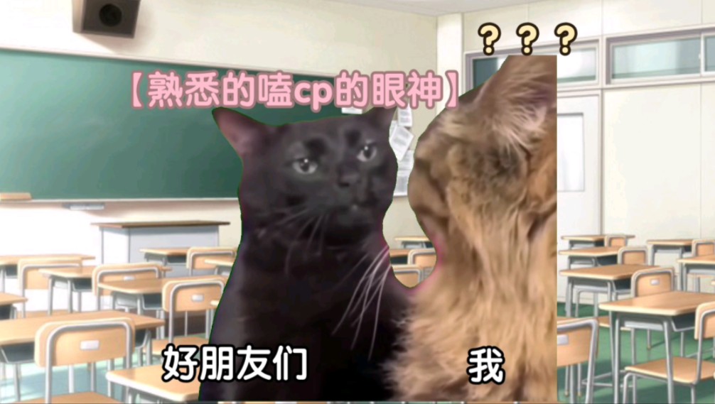 [图]【猫meme】从嗑CP到被嗑CP只要一瞬间