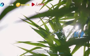 Télécharger la video: 【信仰的力量】我服了！小小一株草，不仅可以致富，还能生态治理