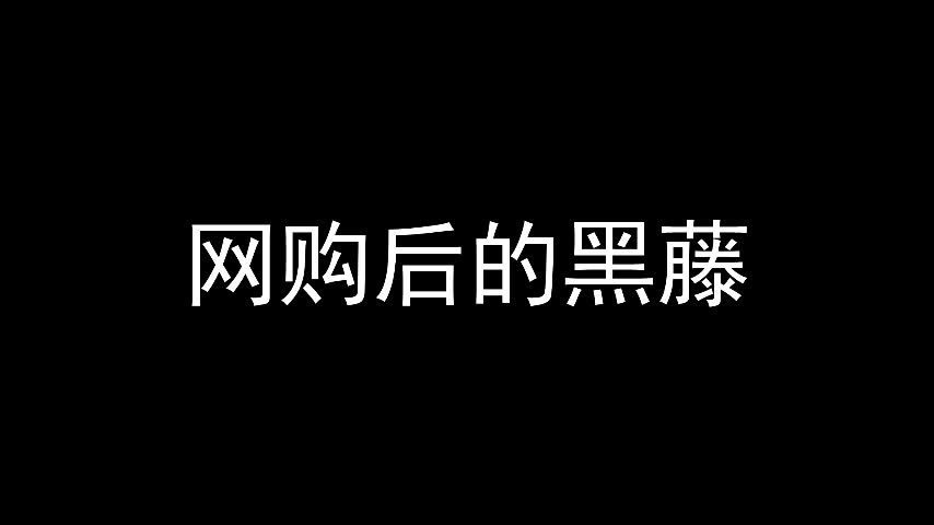 [图]【二号交通站】网购之后