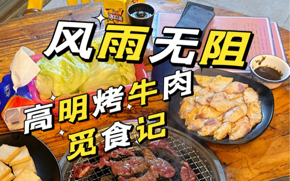 [图]横风横雨高明觅食