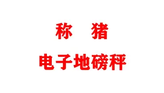 称猪电子地磅秤为什么要用自己的