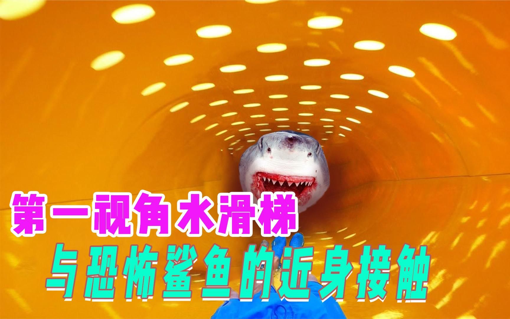 第一视角:恐怖鲨鱼水滑梯,与鲨鱼的近身接触