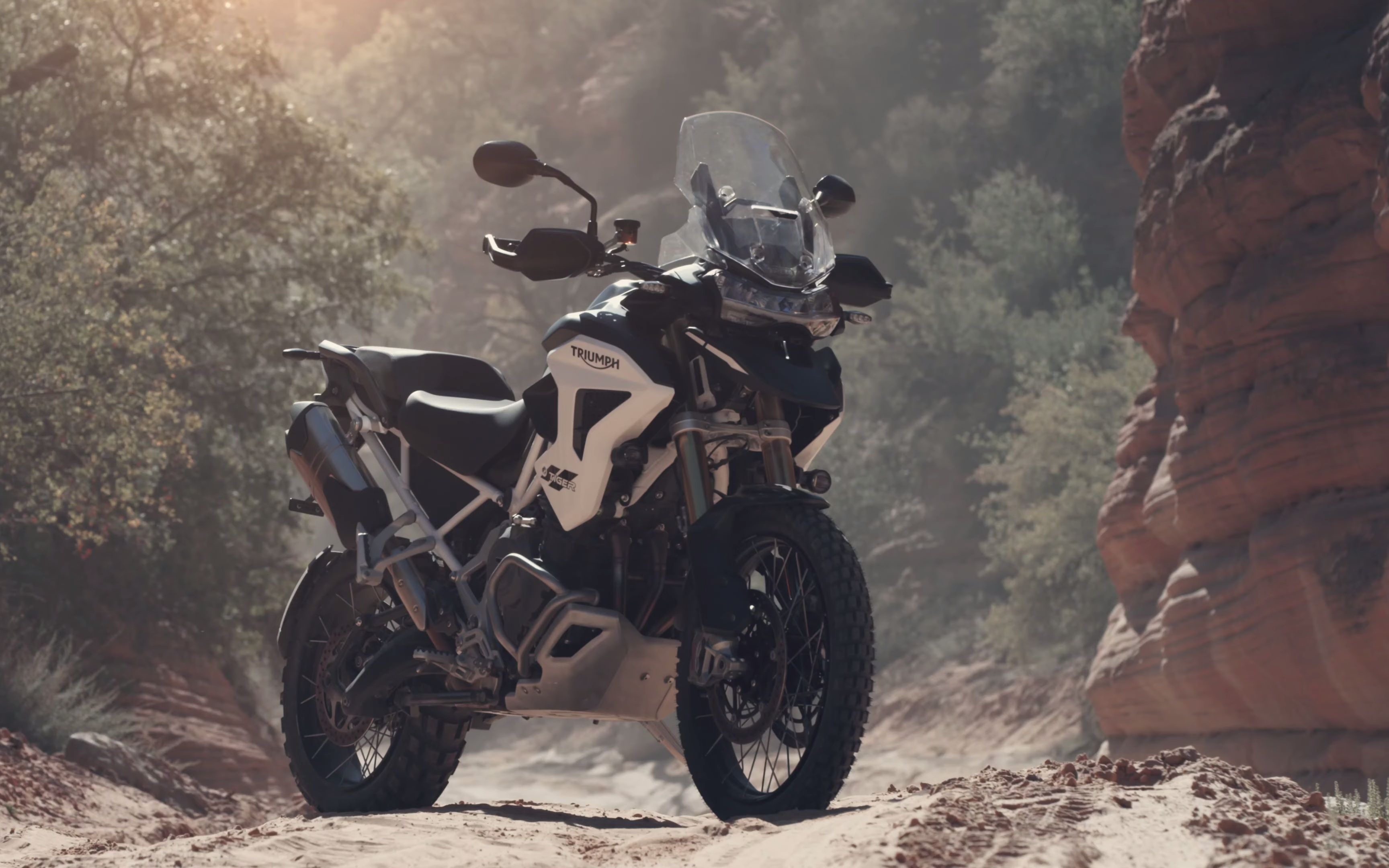 2022款凯旋tiger1200rallypro