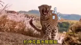 游隼