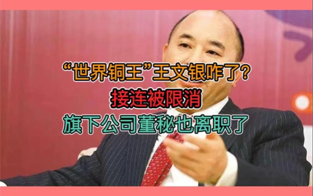 “世界铜王”王文银咋了?接连被限消,旗下公司董秘也离职了哔哩哔哩bilibili