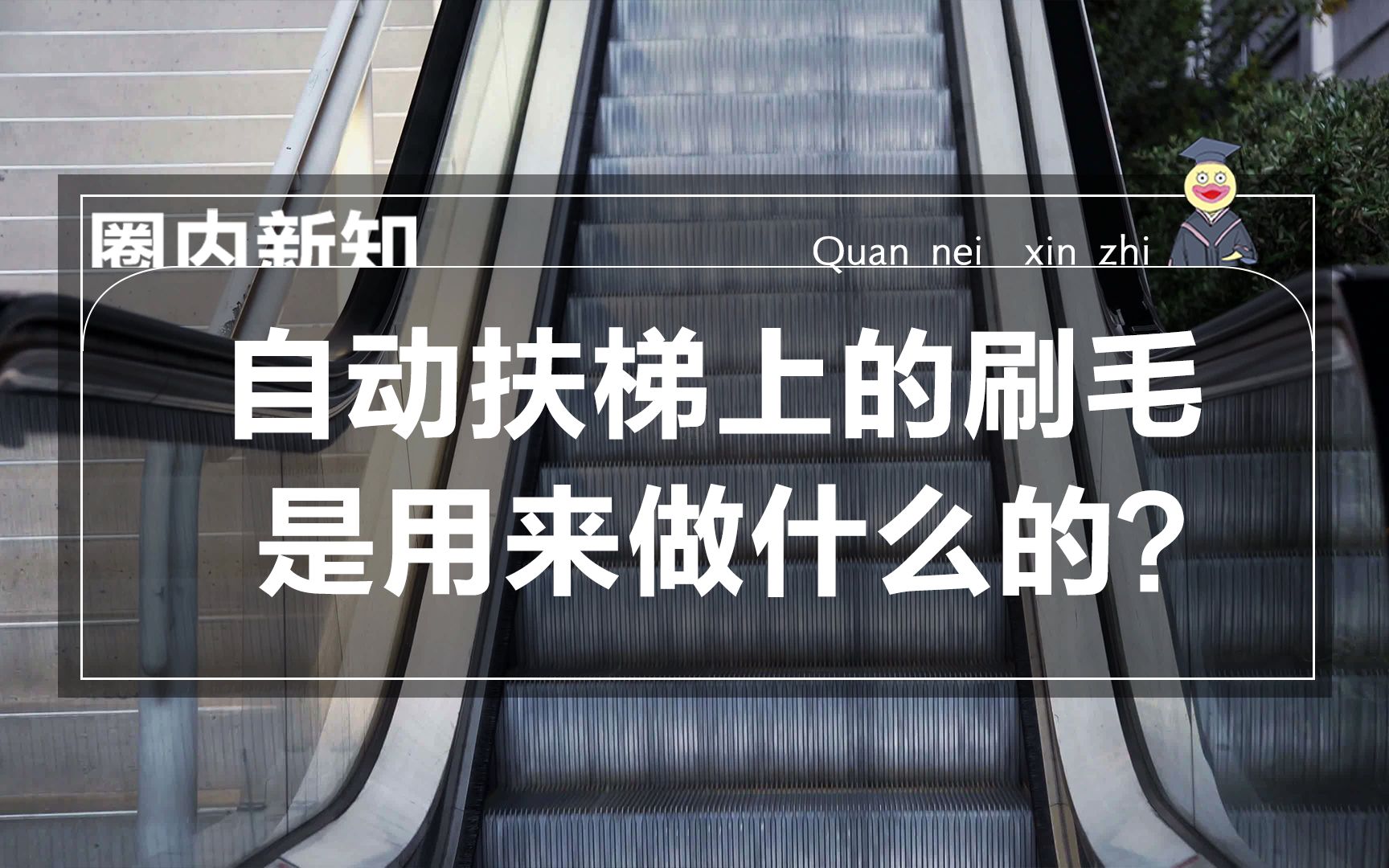 自动扶梯上的刷毛,是用来做什么的?哔哩哔哩bilibili