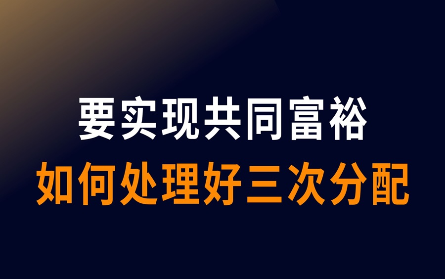 财政部财政科学研究所原所长贾康:“三次分配”到底该咋分?哔哩哔哩bilibili