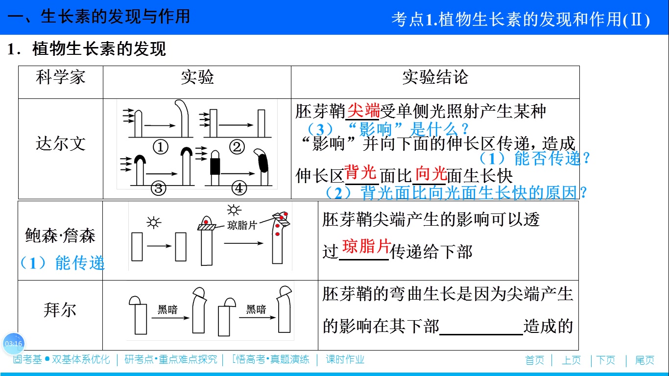 [图]第八单元第5讲《植物激素的调节》一轮复习课