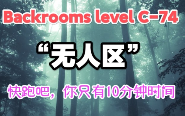 【Backrooms】后室 Level C74 “无人区”快跑吧,你只有十分钟时间.哔哩哔哩bilibili