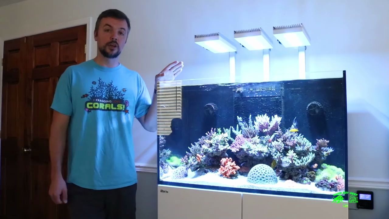 海缸欣赏红海250sps缸美缸解析