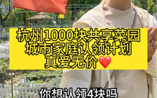 杭州1000块共享菜园城市家庭认领计划!真爱无价!哔哩哔哩bilibili