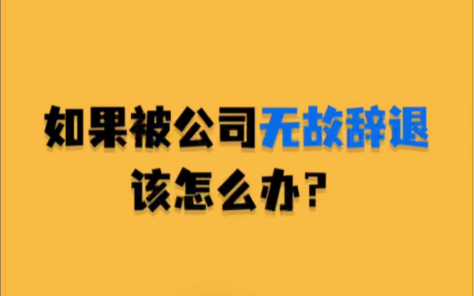 如果被公司无故辞退,该怎么办?哔哩哔哩bilibili