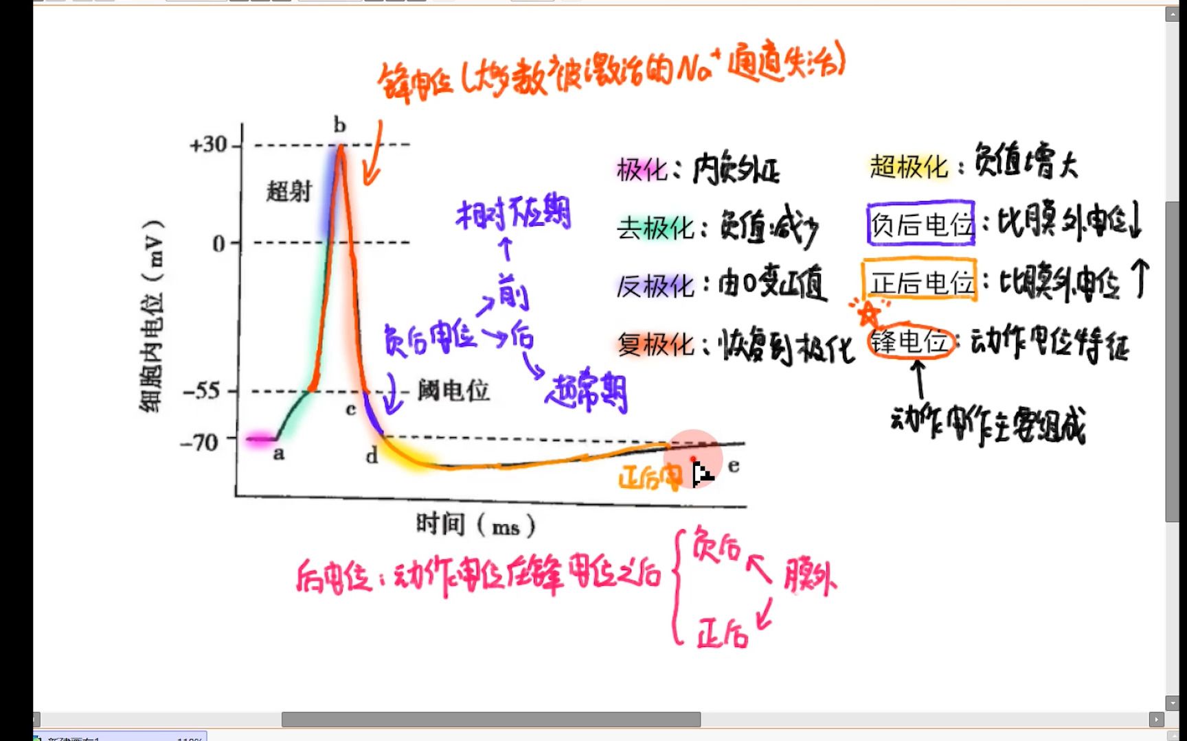 形象记忆正后电位和负后电位哔哩哔哩bilibili