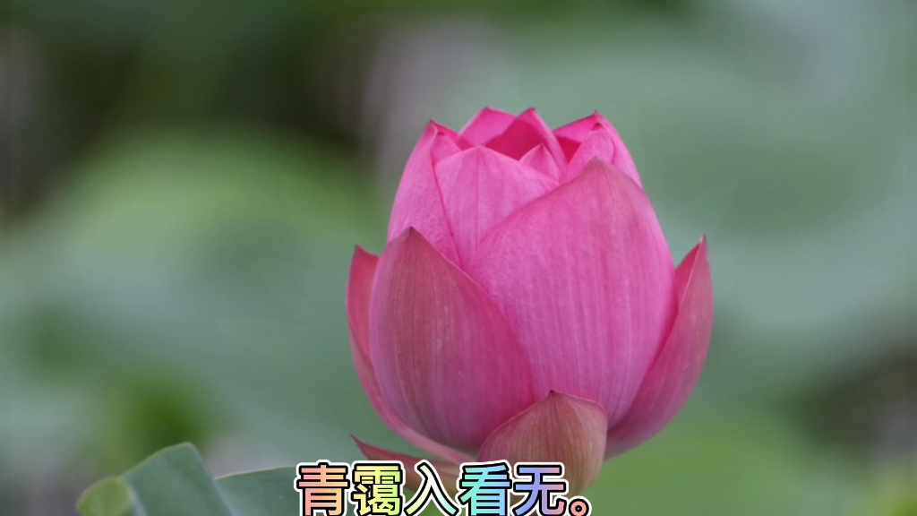 #来亿点知识# 终南山唐代 ⷧŽ‹维太乙近天都,连山接海隅.白云回望合,青霭入看无.分野中峰变,阴晴众壑殊.欲投人处宿,隔水问樵夫.#国潮正当红#...