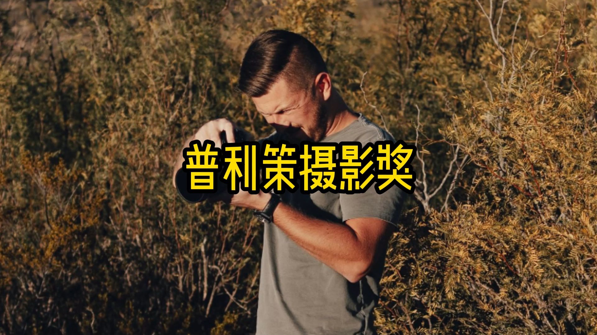 一个视频带你看懂普利策摄影奖