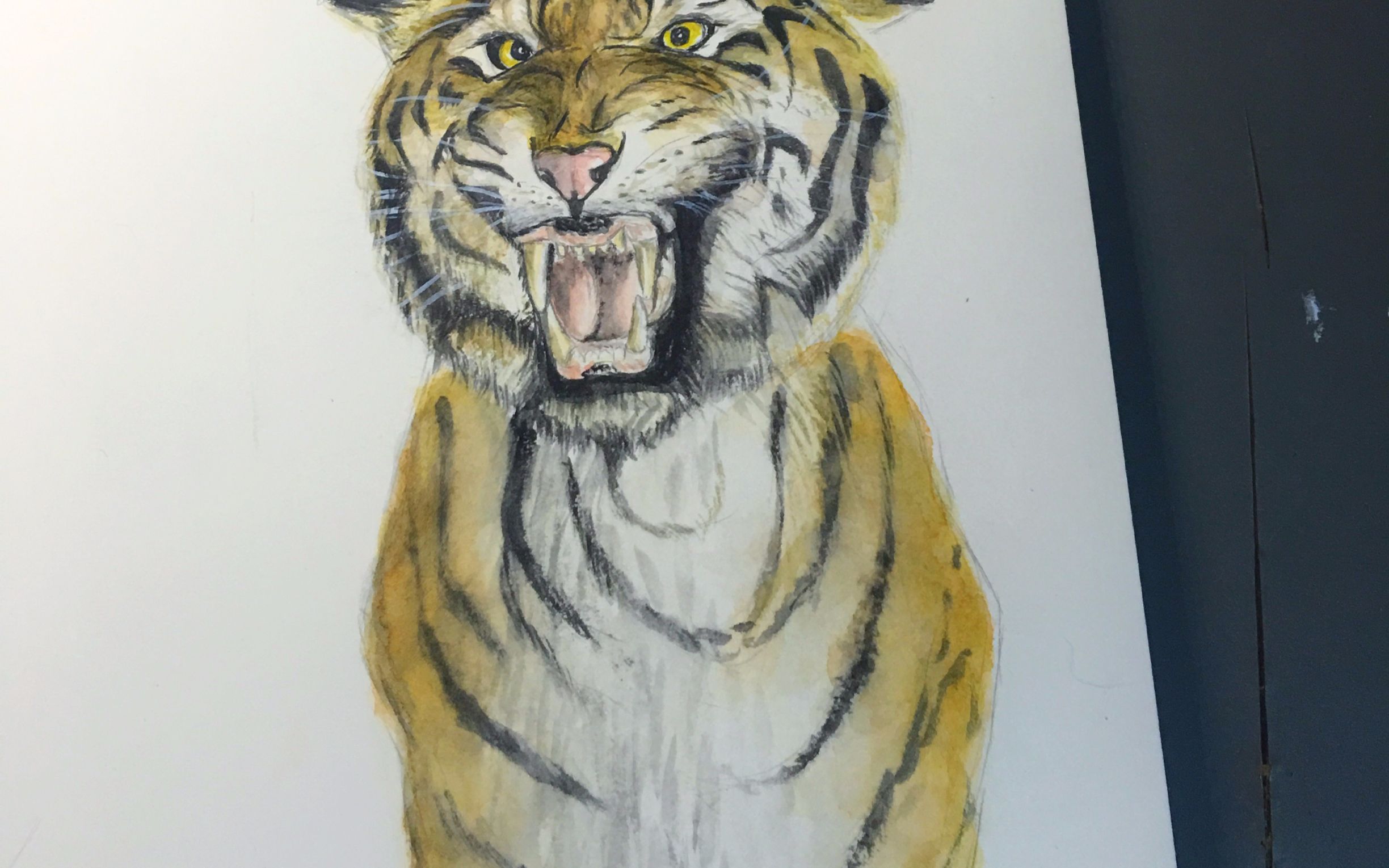 【小鸟游五花的手绘水彩过程】这是一只头很大的老虎,就叫他胖虎吧.