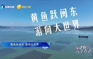 Download Video: 【福建骄傲海洋力量】第七集 黄鱼跃闽东，游向大世界