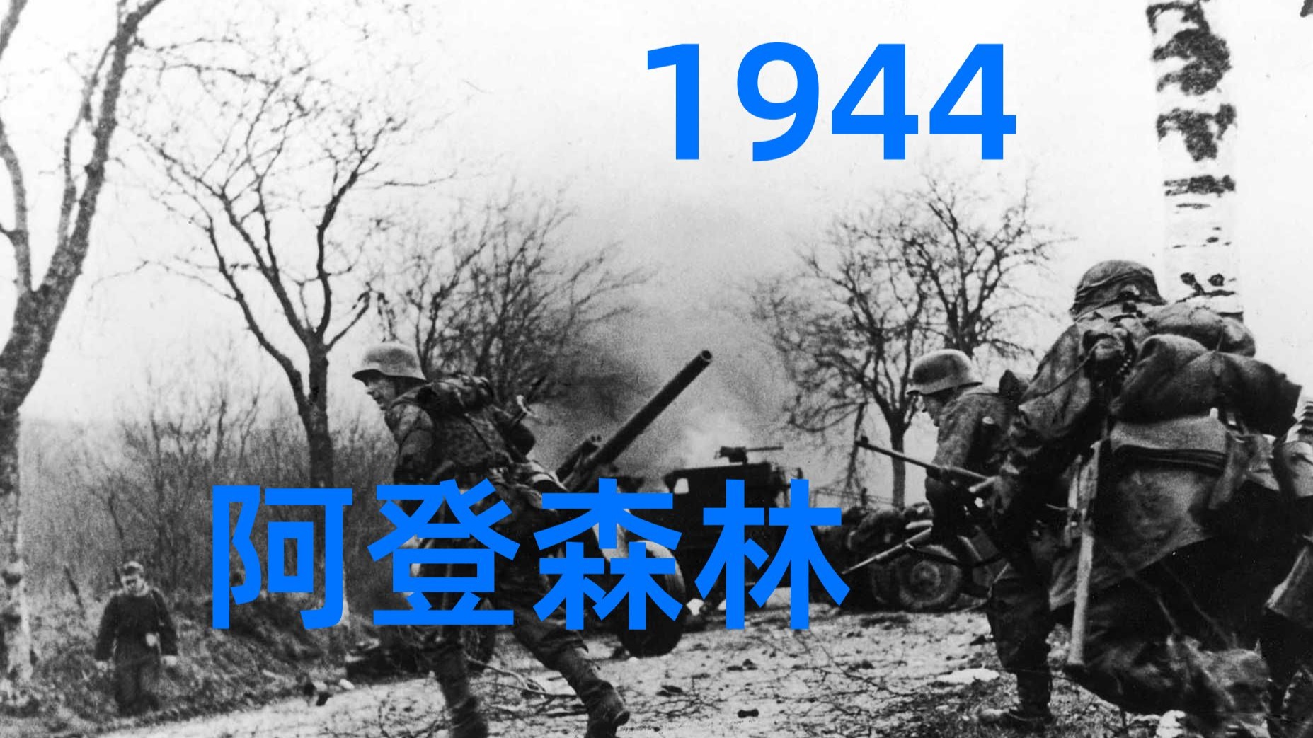 阿登森林 德国自杀【卫国战争:阵地之王】