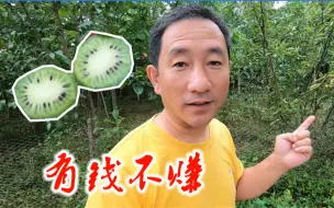 Download Video: 丹东果园里买软枣泥猴桃，老板却不卖给我，他的一番话值得深思