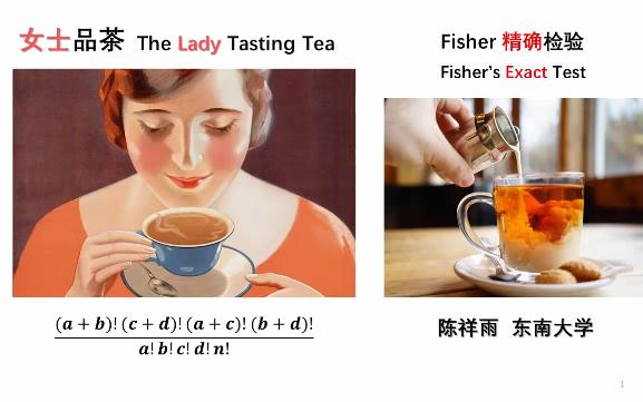 通俗统计学原理入门24 女士品茶 The Lady Tasting Tea Fisher精确检验 Fisher's Exact Test哔哩哔哩bilibili