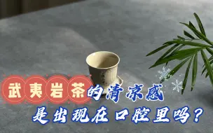 Download Video: 有清凉感的武夷岩茶，才是好岩茶？这是在断章取义还是茶界真理？