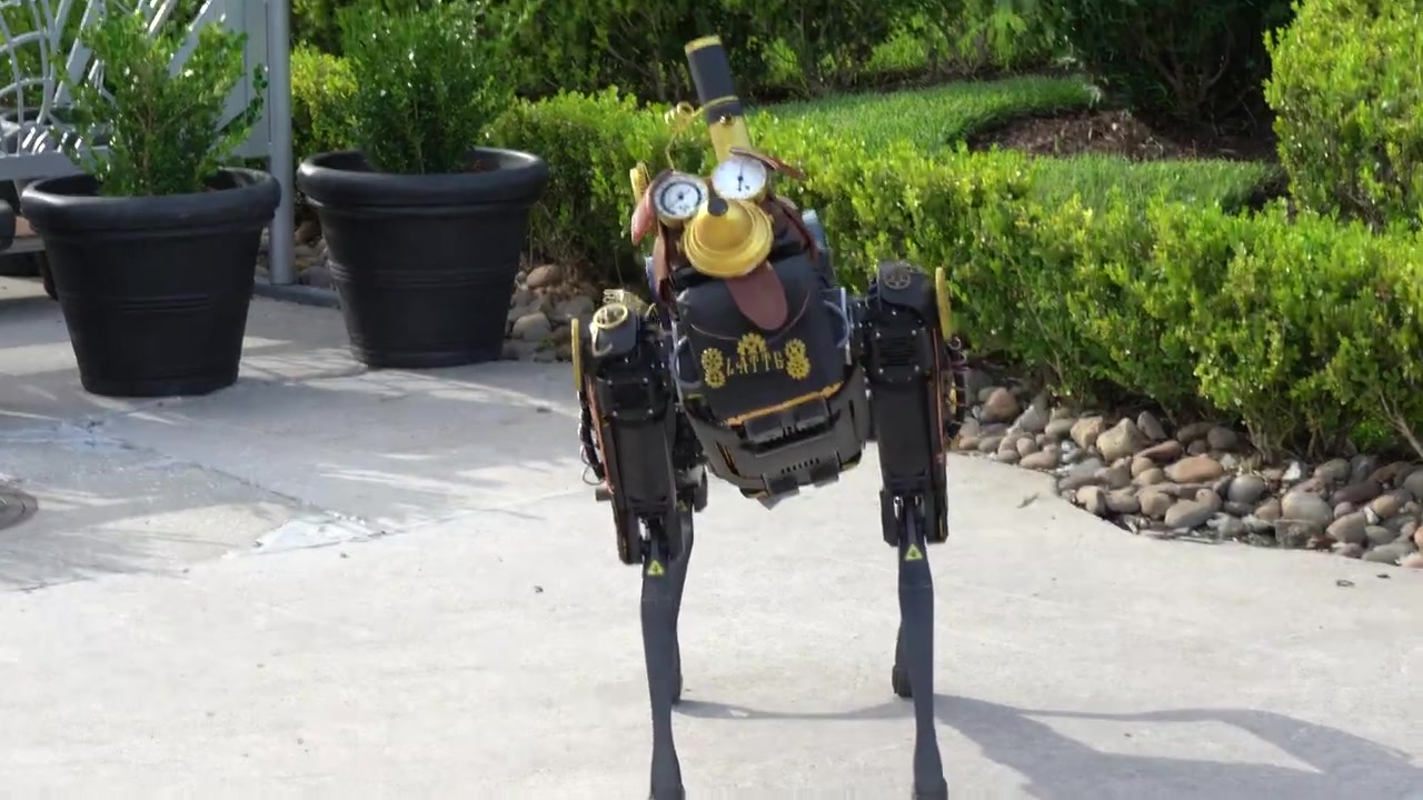 latte, 机器狗 在奥兰多环球影城的toothsome chocolate emporium首次