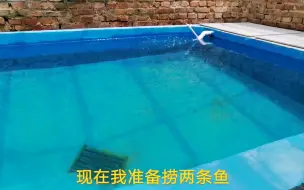 Tải video: 新鱼池从新换了水，再拿两条鱼闯下池，同时分享一下鱼池排水系统