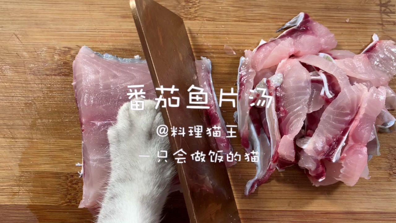 【料理猫王】猫咪为了养活主人,被迫成为大厨,居然做出这样的美食哔哩哔哩bilibili