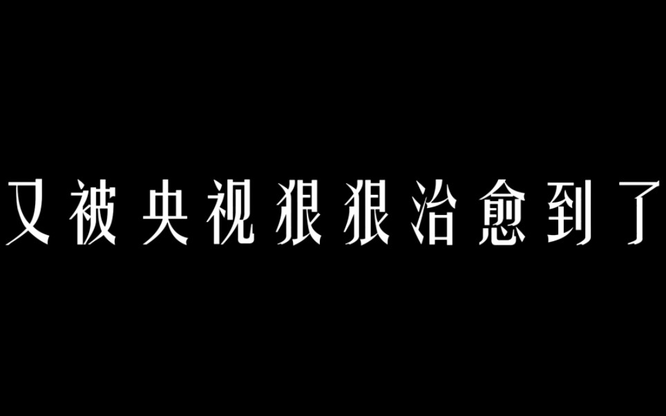 【作文素材】“又被央视狠狠治愈到了,我们不可能一下子就变得优秀”哔哩哔哩bilibili