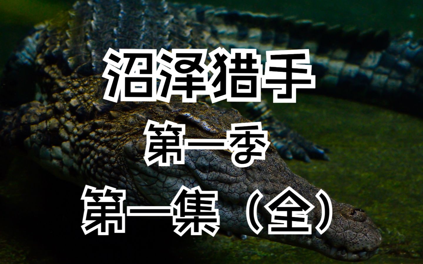 沼泽猎手 硬核鳄鱼捕猎季