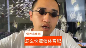 Télécharger la video: 饲养鱼苗怎么才能让它快速长大长胖？