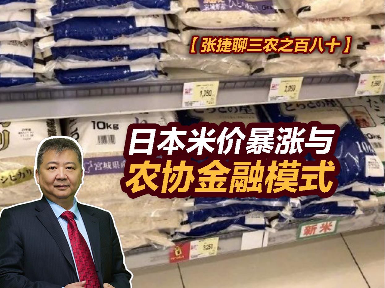 【张捷聊三农之百八十】日本米价暴涨与农协金融模式哔哩哔哩bilibili