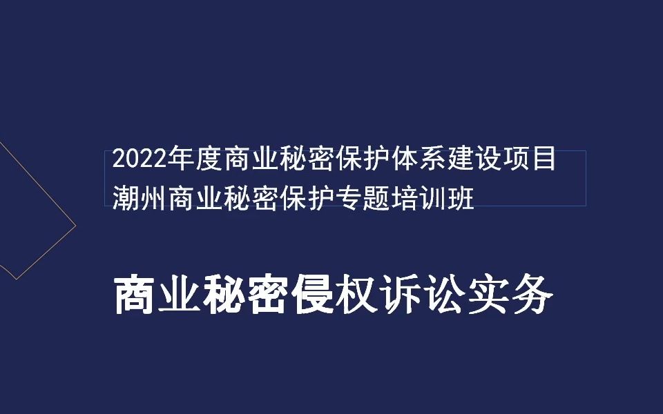 [图]商业秘密侵权诉讼实务（2022年度商业秘密保护体系项目）