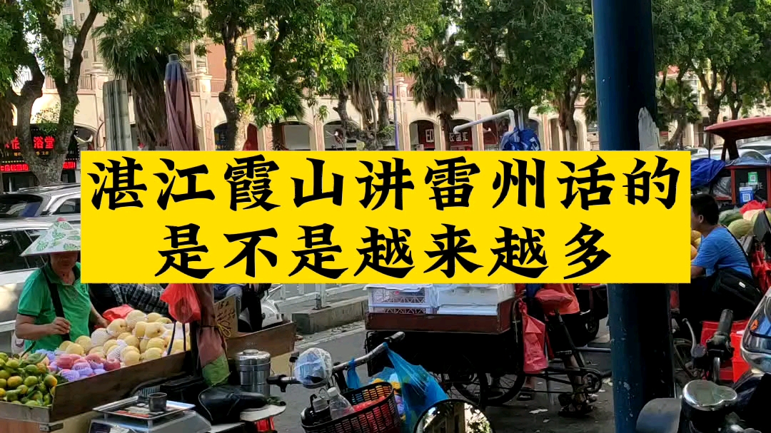 湛江霞山的原住民以雷州话为主,后来市区讲白话成了主流.近年来,由于周边“新移民”的增多,霞山讲雷州话的人群越来越多.哔哩哔哩bilibili