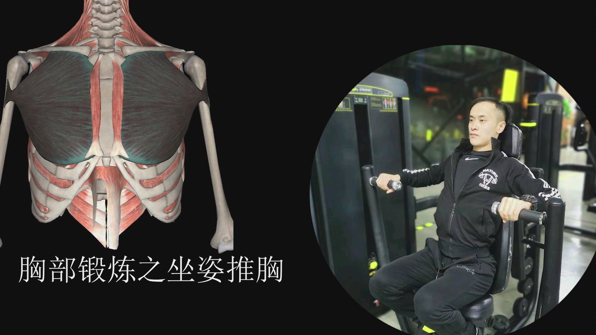 坐姿推胸《健身房指南》