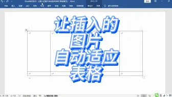 下载视频: Word操作技巧：让插入的图片自动适应表格