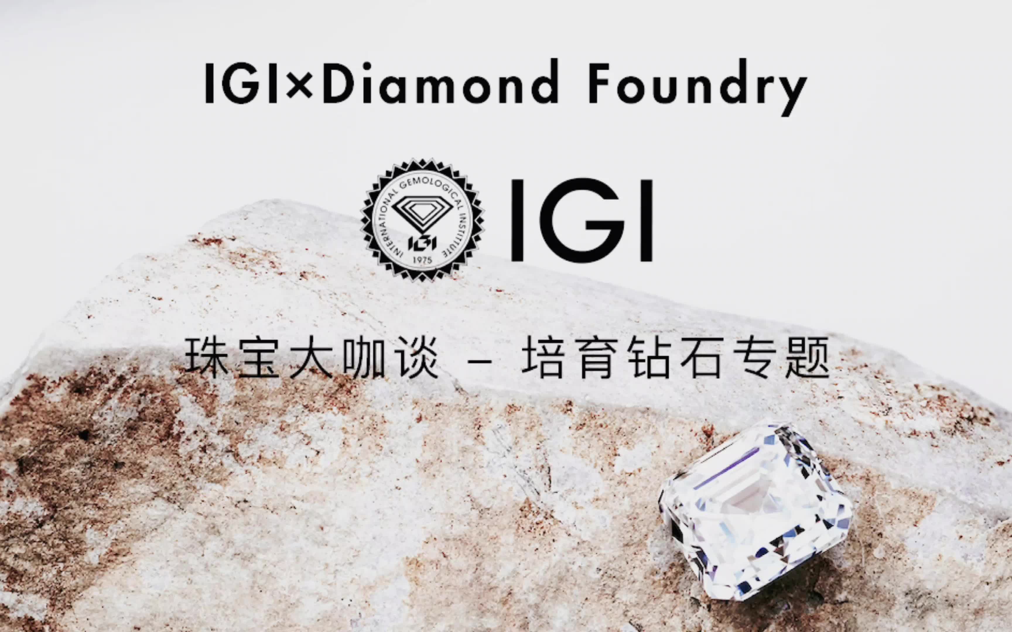 igi7015diamond foundry珠宝大咖谈-培育钻石专题活动回顾