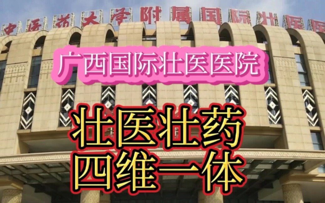 #广西国际壮医医院 壮医壮药四维一体疗法:蜞针疗法的讲解哔哩哔哩bilibili