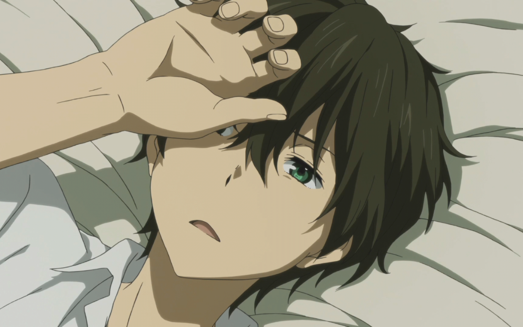 折木奉太郎学长,我喜欢你!