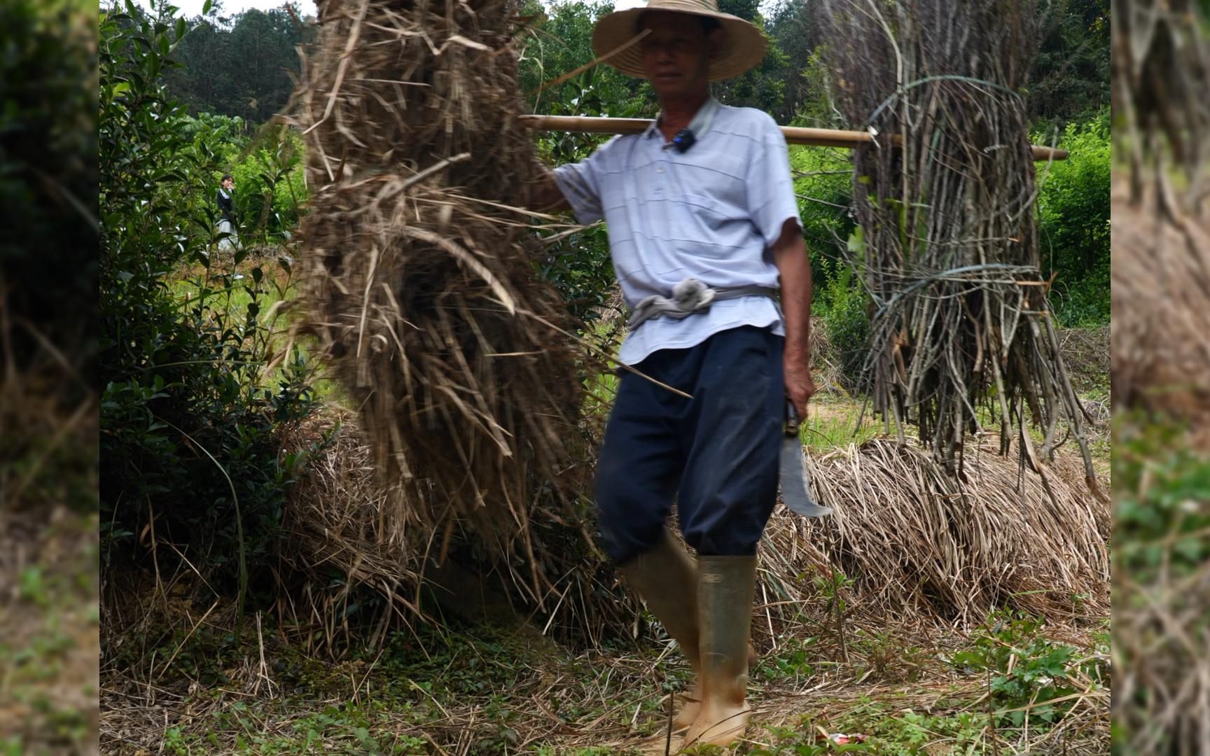 上山砍柴做饭一日三餐与世无争日出而作日落而息