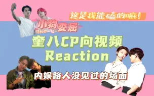 Download Video: 【奎八】内娱路人CP向剪辑reaction（我表示不敢磕！真不敢磕！是我没见过的场面！！！！！）