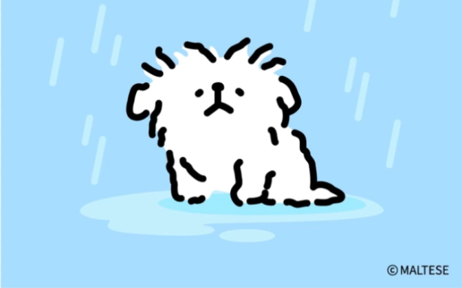 天气预报今天有雨哔哩哔哩bilibili