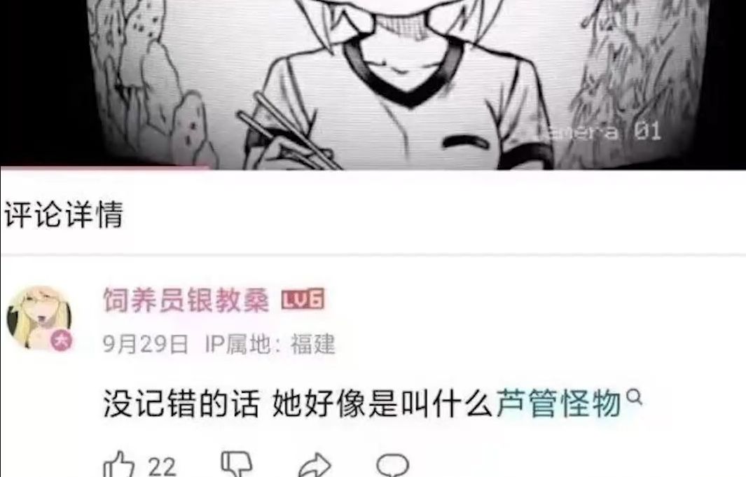 芦管怪物是什么意思?哔哩哔哩bilibili