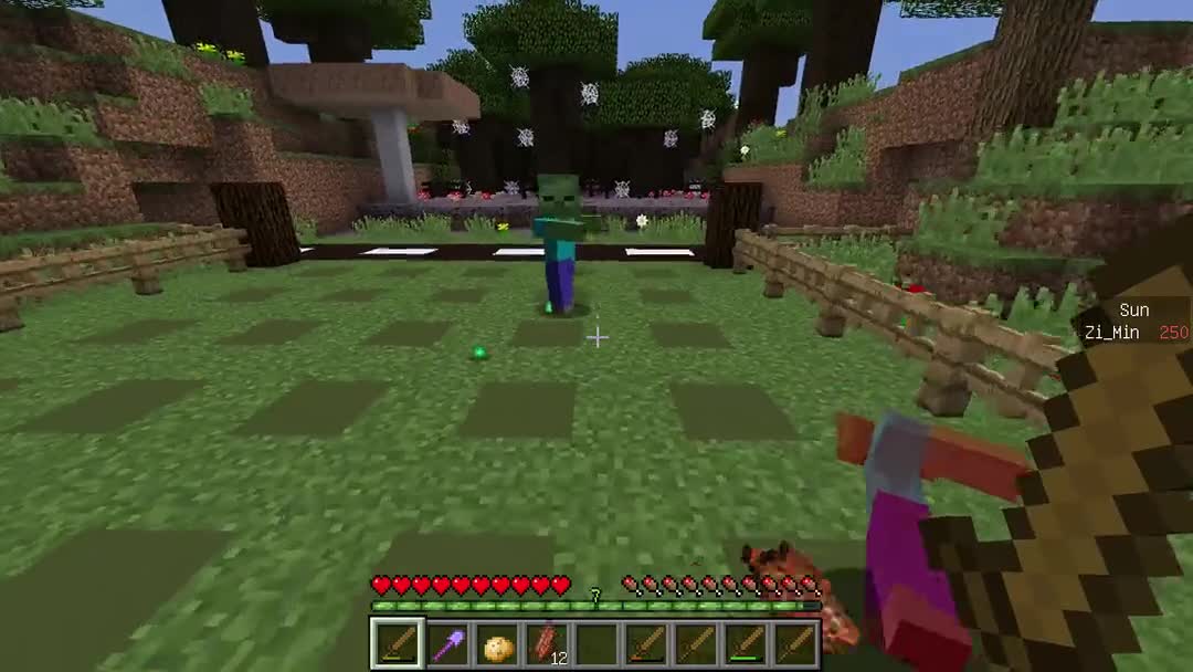 [图]★我的世界★Minecraft《籽岷的1.8经典小游戏 植物大战僵尸》